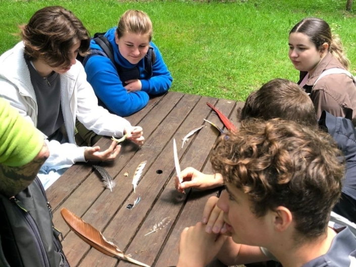 Decouverte-nature Nos 4èmes en sortie scolaire en train d'étudier des plumes d'oiseaux